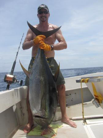 yellowfin tuna
