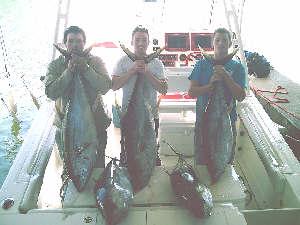 The charters yellowfin Tuna