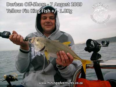 Yellow Fin King Fish