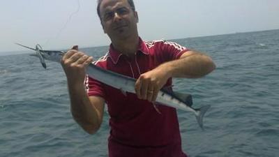 Garfish
