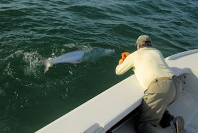 Capt. Rick Grassett leadering Hal Lutz's fly tarpon