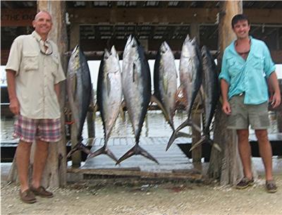 Dynamic Duo - Team Rogers..