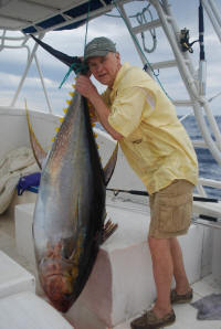 yellowfin tuna
