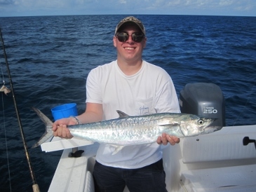 King mackerel on baitfish, 24 miles west of New Pass, Bonita Beach, SWFL