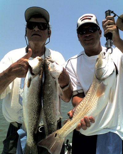 dr.jerry woolum & son mark