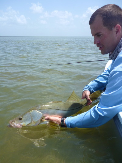 Snook Release