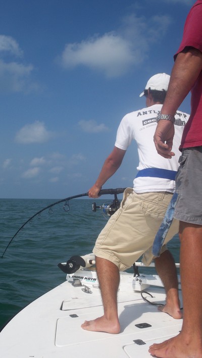 getting youre back broke by the king