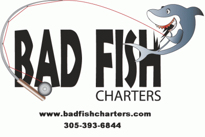 contact me to book your trip!!!