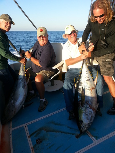 tuna fishing puerto vallarta