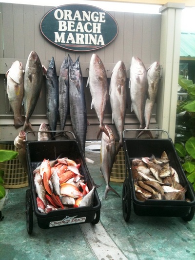 Nice catch on Intimidator!