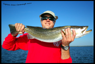 Nice Mosquito Lagoon Sea Trout