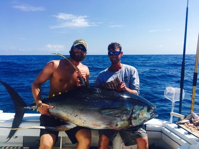 Monster Yellowfin Tuna