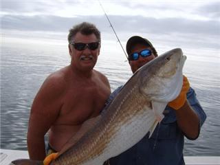 Big Bull Reds