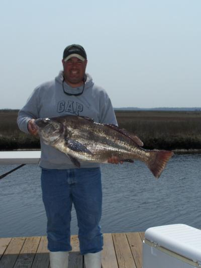 Blackdrum