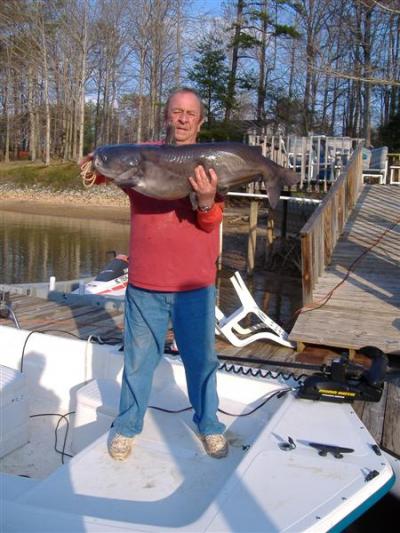 LKN blue catfish