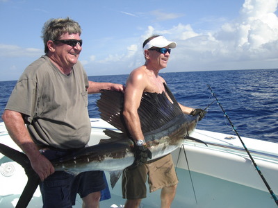 sailfish off Boca