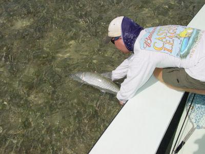 A nice keys bonefish on fly