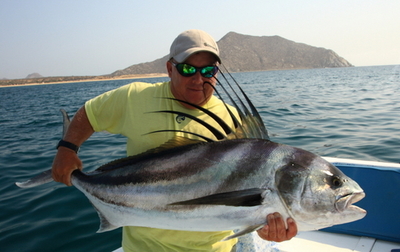 A very big rooster fish we got this week.