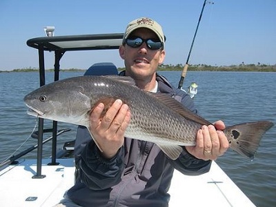 Mosquito Lagoon Redfish