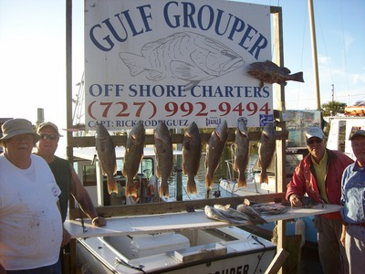 gag groupers