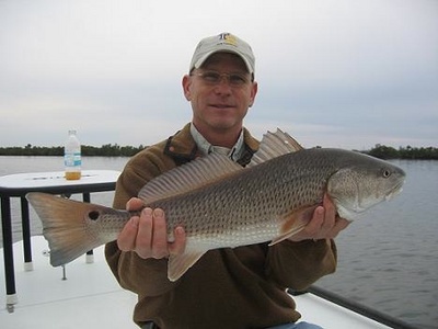 Indian River Redfish