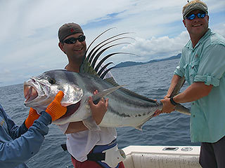 Nice Rooster Caught on Tamarindo Reef