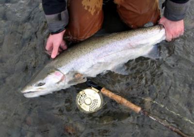 Chad Black with a winter Steelhead