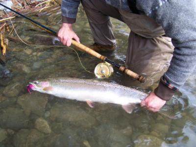 Chad Black with a Kalum River Steelhead