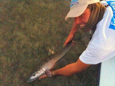 Tagged and released to fight another day.