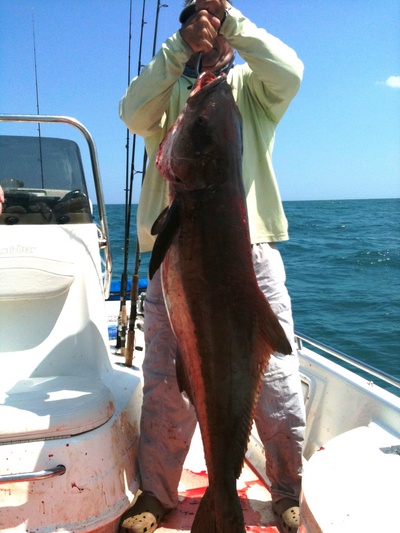 Beach Cobia
