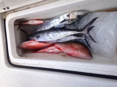 Whats in the box: Kings and Muttons