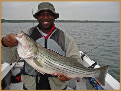 Big female Striper already spawned