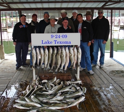 Good numbers of fish.