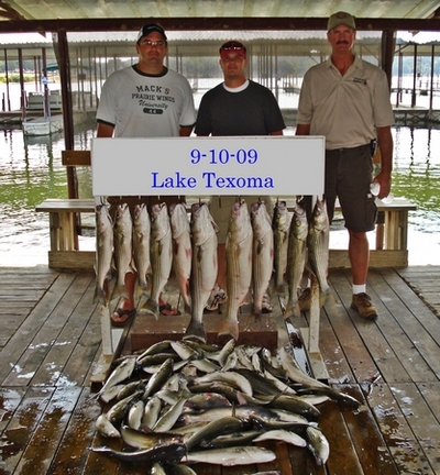 Still on the skinny side but lots of them.