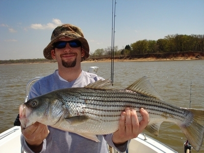 Good size female Striper