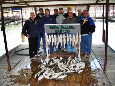 Lots of smaller box fish to be had