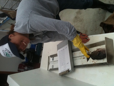 Califonria Recreational Fishereis Survey Sampler