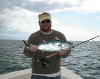 fly caught albacore