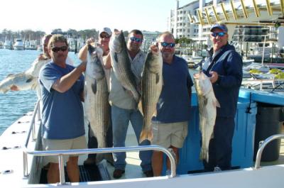 David & the Carolina boys