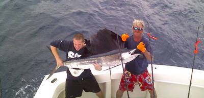 Drew's Sailfish
