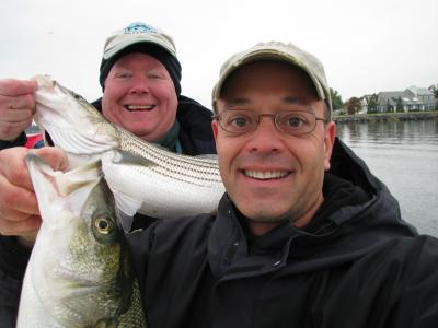 Double Header! Both released...