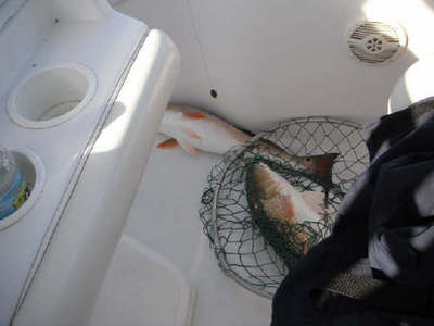 2 for the floor they were comming in that fast