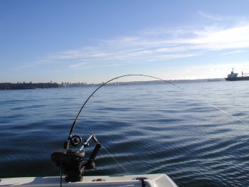 Chilly, but a great day !