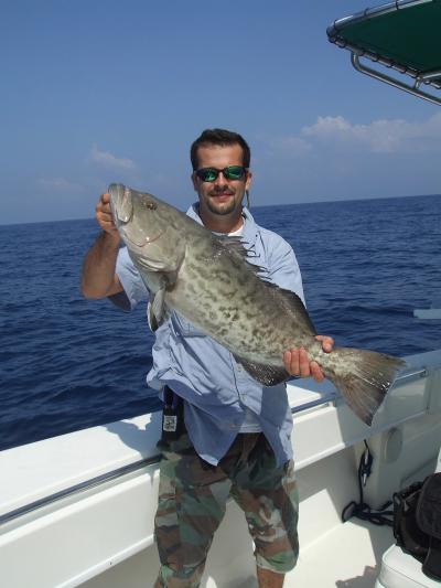 Gag Grouper