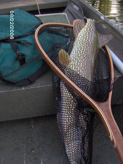 Pike Fishing PIcture