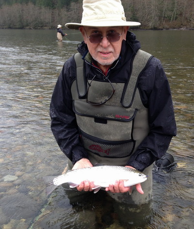 fat Rainbow caught flyfishing on local river near Vancouver BC.