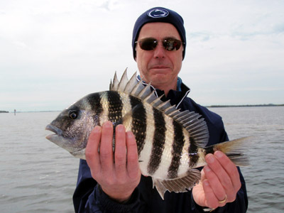 Sheepsheads continue to bite despite the cold