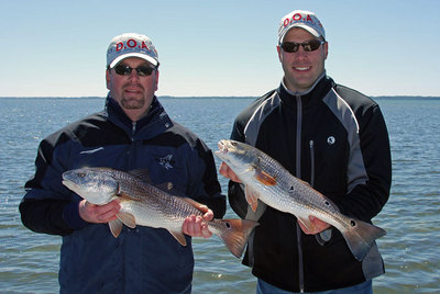 Redfish double on DOA CAL lures
