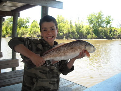 Blakes redfish