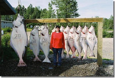 A limit of Halibut